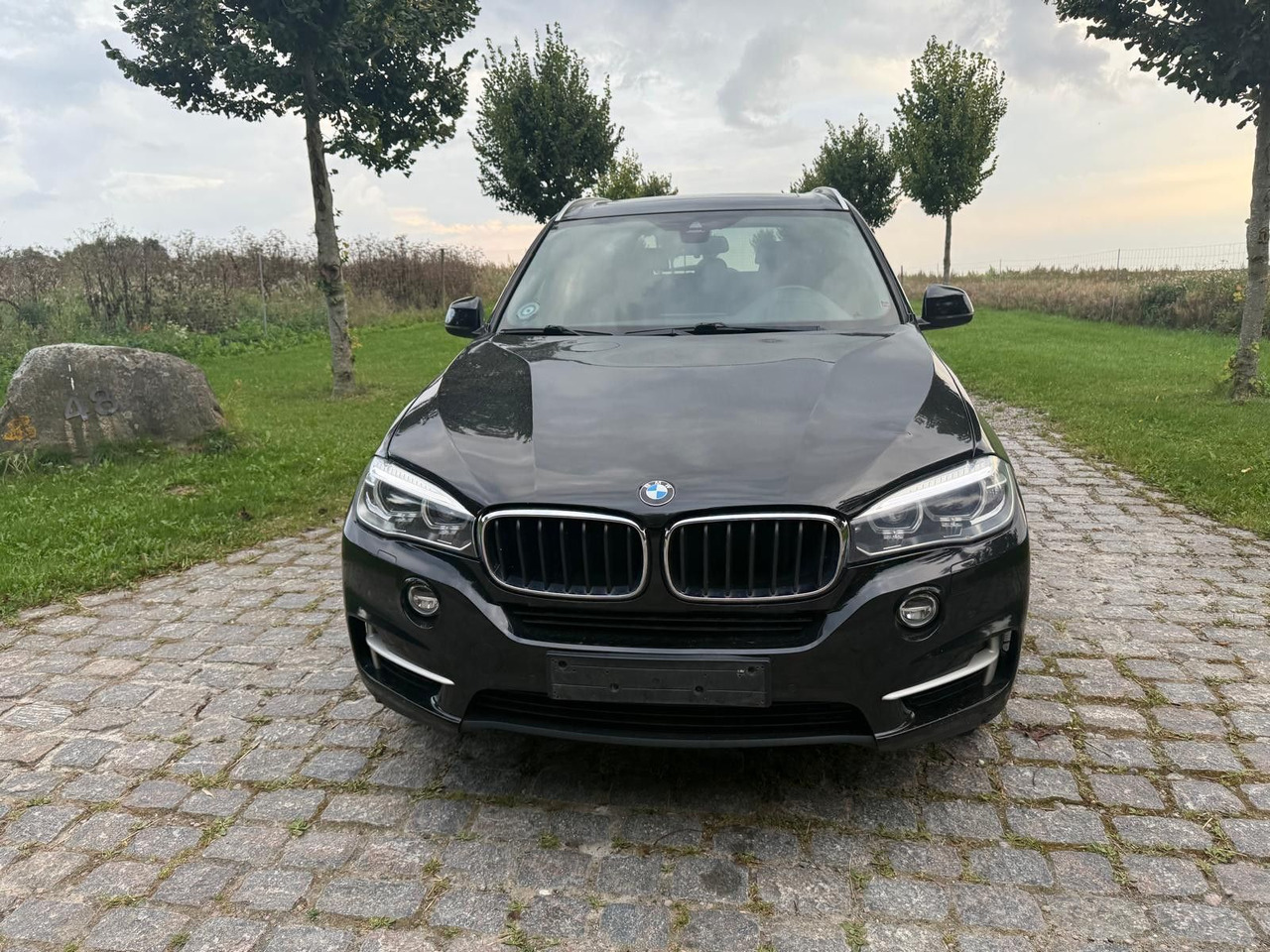 BMW X5 Baureihe X5 xDrive 30 d - SUV: hình 5 BMW X5 Baureihe X5 xDrive 30 d - SUV: hình 5