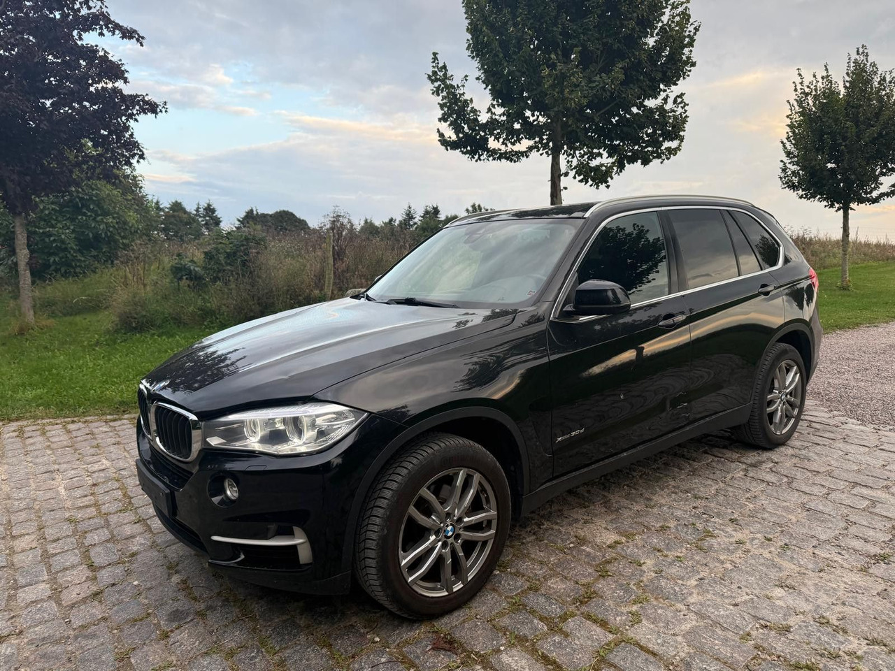 BMW X5 Baureihe X5 xDrive 30 d - SUV: hình 4 BMW X5 Baureihe X5 xDrive 30 d - SUV: hình 4