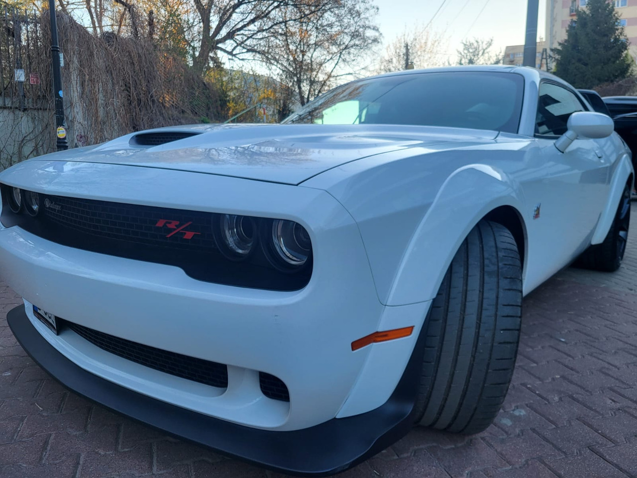 Xe coupe Dodge Challenger: hình 33