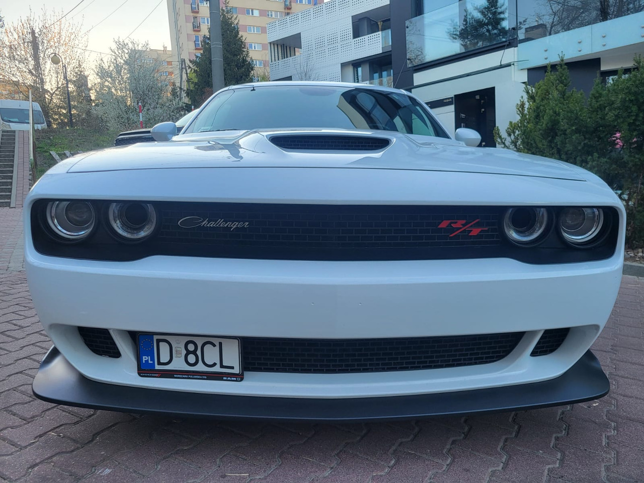 Xe coupe Dodge Challenger: hình 32