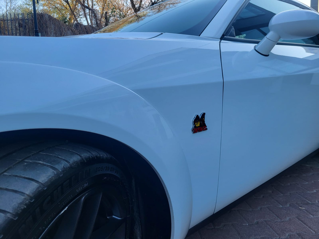 Xe coupe Dodge Challenger: hình 30