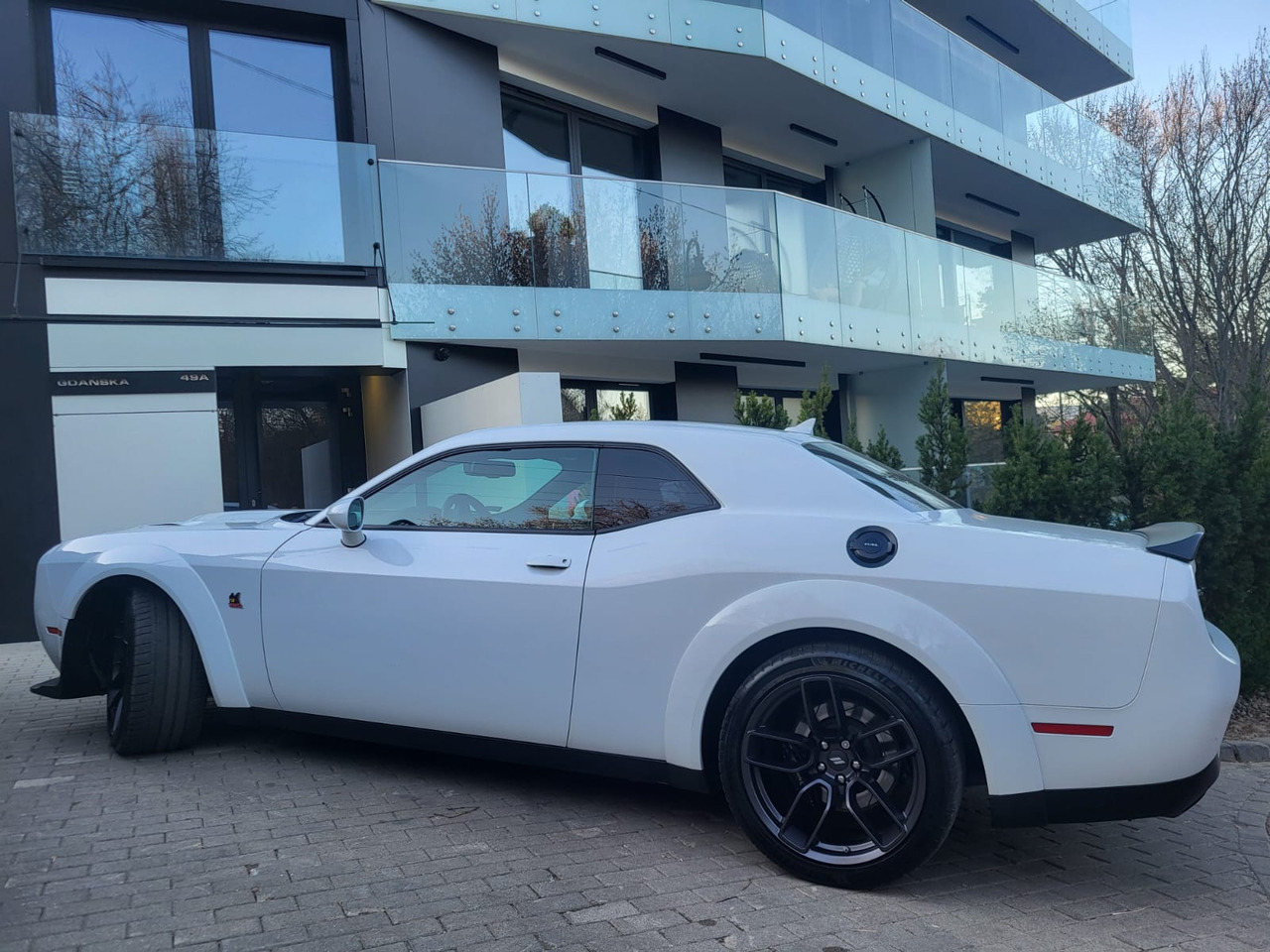 Xe coupe Dodge Challenger: hình 27