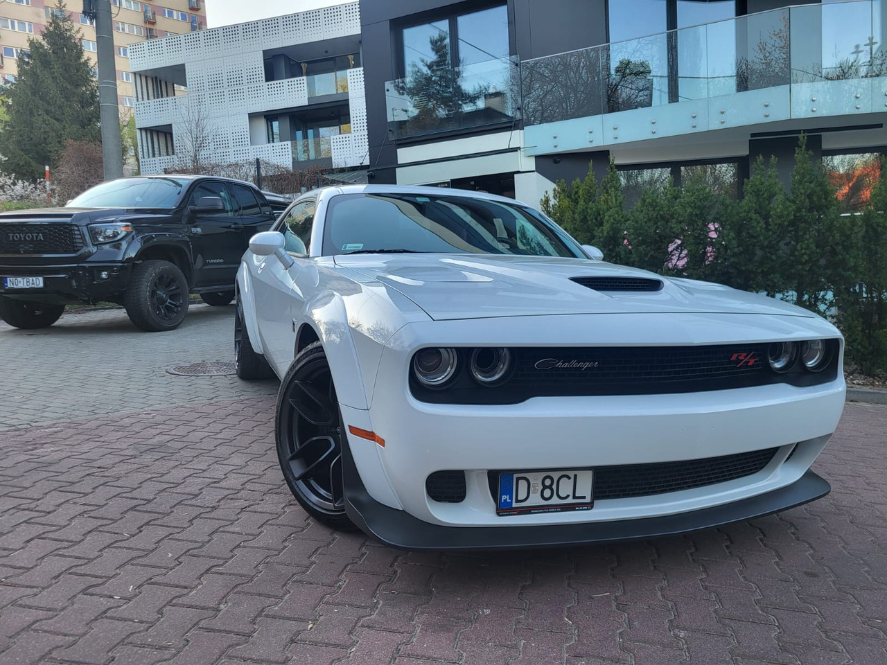 Xe coupe Dodge Challenger: hình 31