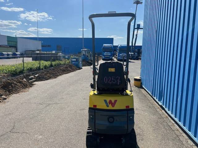 WACKER NEUSON 803 | 2024 - Máy xúc mini: hình 4 WACKER NEUSON 803 | 2024 - Máy xúc mini: hình 4
