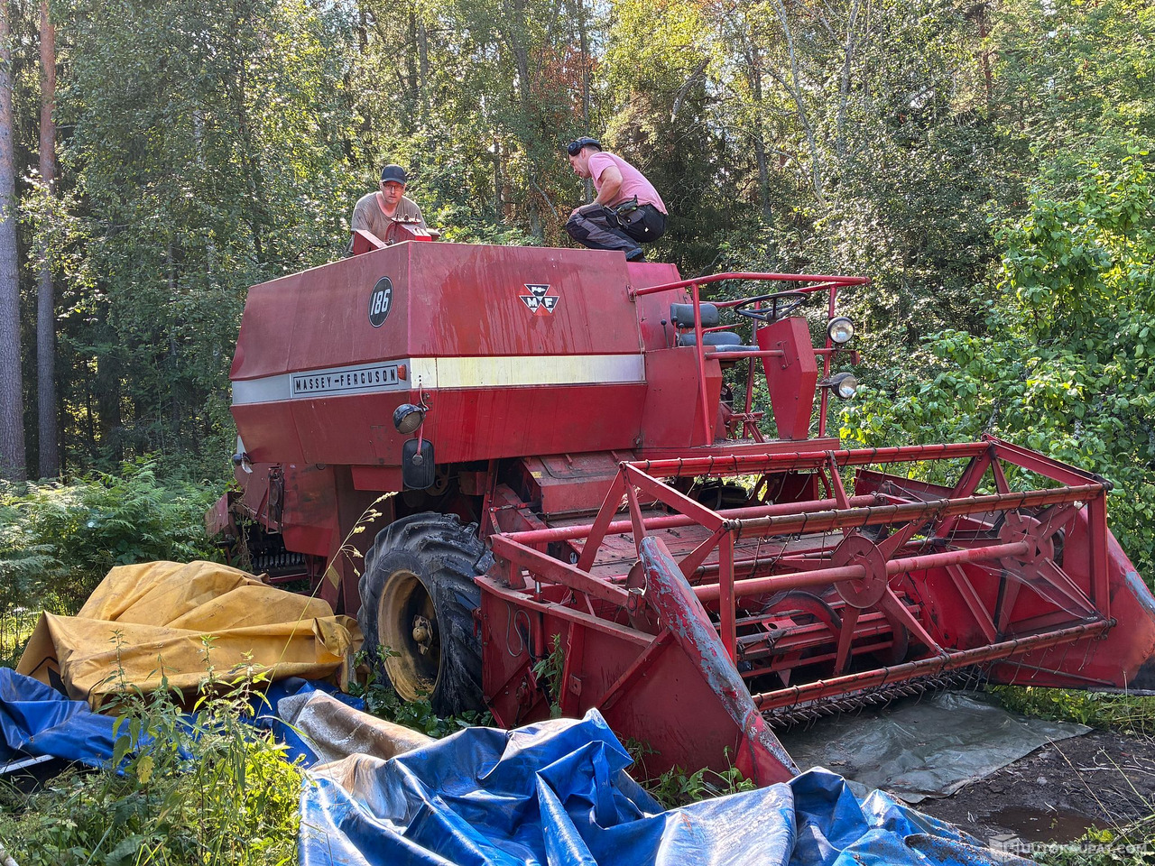 Massey Ferguson 186 Leikkuupuimuri, Kangasala - Máy móc nông nghiệp: hình 5 Massey Ferguson 186 Leikkuupuimuri, Kangasala - Máy móc nông nghiệp: hình 5