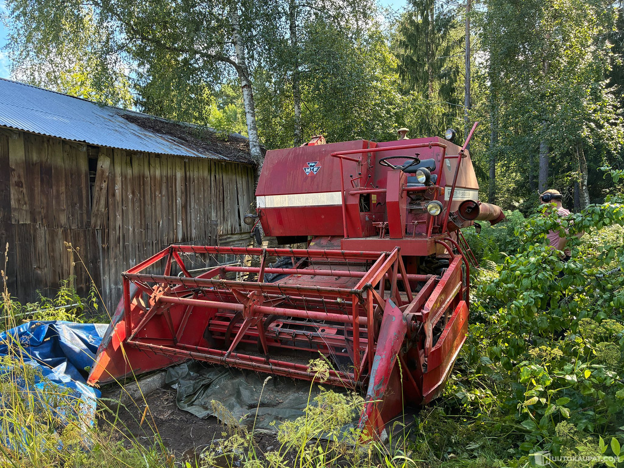 Massey Ferguson 186 Leikkuupuimuri, Kangasala - Máy móc nông nghiệp: hình 2 Massey Ferguson 186 Leikkuupuimuri, Kangasala - Máy móc nông nghiệp: hình 2