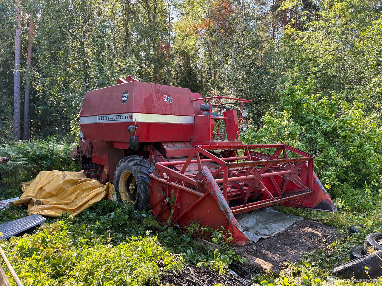Massey Ferguson 186 Leikkuupuimuri, Kangasala - Máy móc nông nghiệp: hình 1 Massey Ferguson 186 Leikkuupuimuri, Kangasala - Máy móc nông nghiệp: hình 1