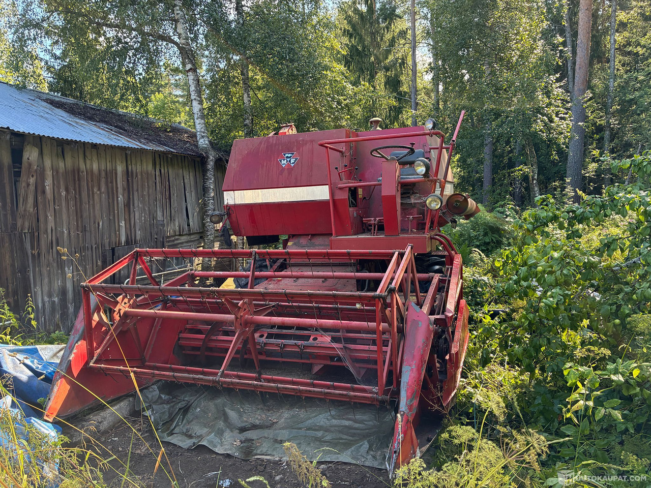 Massey Ferguson 186 Leikkuupuimuri, Kangasala - Máy móc nông nghiệp: hình 4 Massey Ferguson 186 Leikkuupuimuri, Kangasala - Máy móc nông nghiệp: hình 4