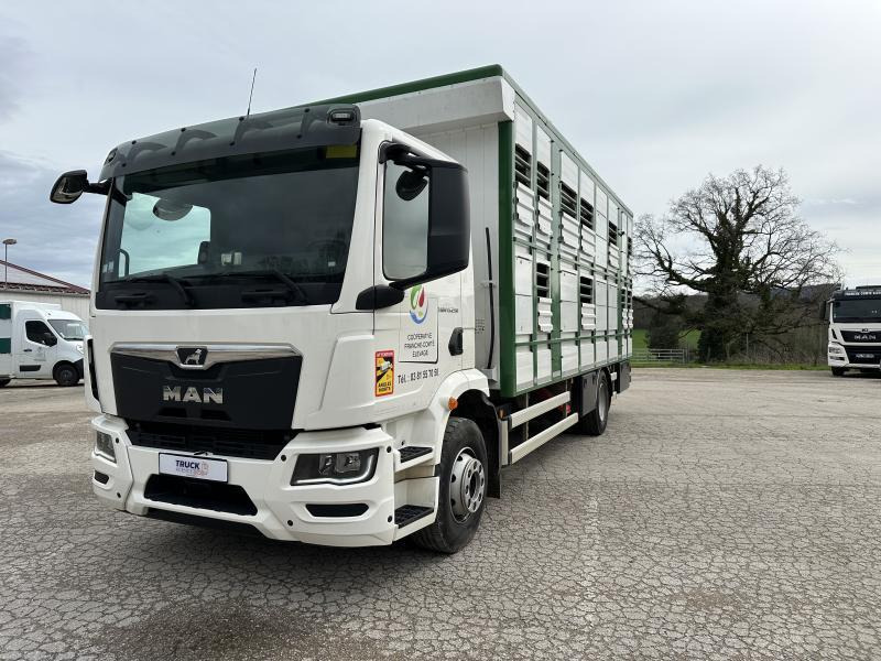 MAN M 90 15.290 TGM - Xe tải chở gia súc: hình 1 MAN M 90 15.290 TGM - Xe tải chở gia súc: hình 1