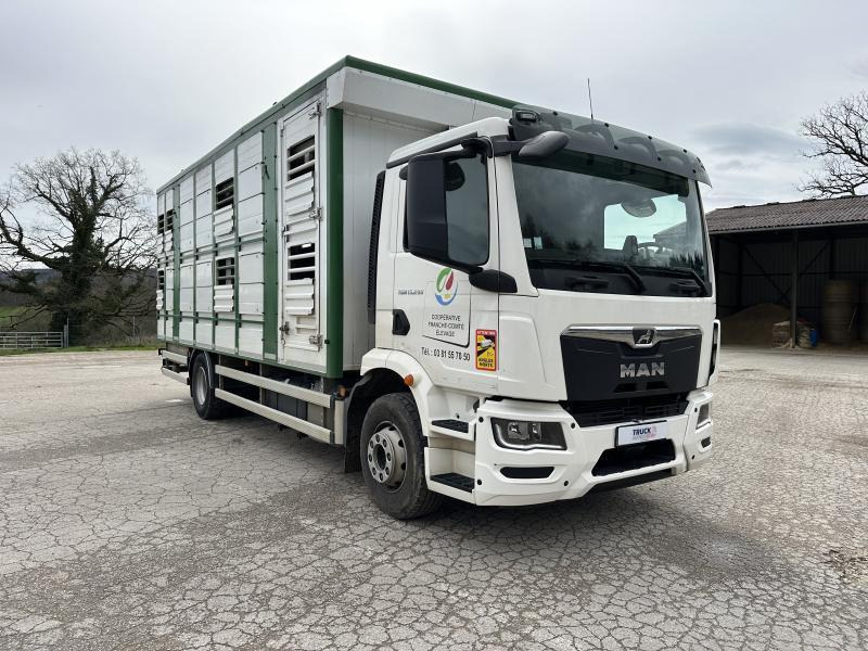 MAN M 90 15.290 TGM - Xe tải chở gia súc: hình 2 MAN M 90 15.290 TGM - Xe tải chở gia súc: hình 2