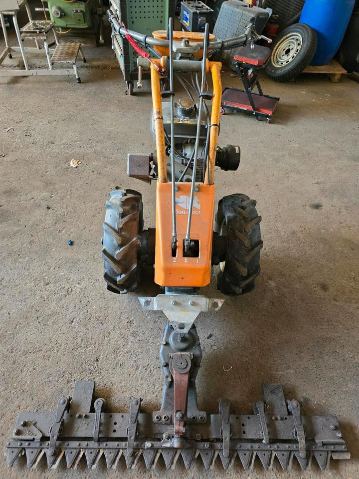 Vogel und Not Balkenmäher Hangmäher Böschungsmäher Mähbalken Rapid Reform Mulcher - Máy cắt cỏ vườn: hình 3 Vogel und Not Balkenmäher Hangmäher Böschungsmäher Mähbalken Rapid Reform Mulcher - Máy cắt cỏ vườn: hình 3