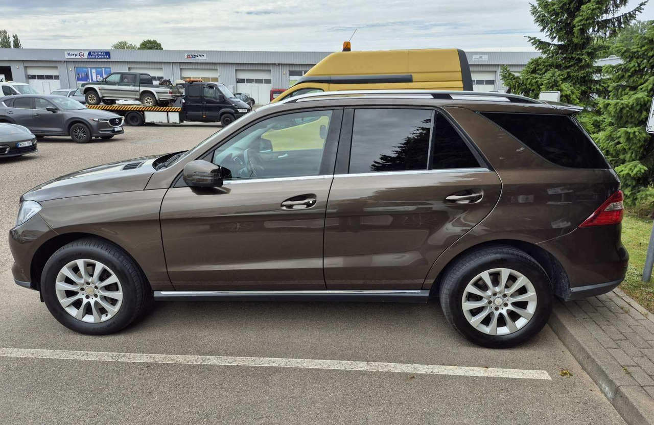 Mercedes-Benz ML350 - SUV: hình 3 Mercedes-Benz ML350 - SUV: hình 3