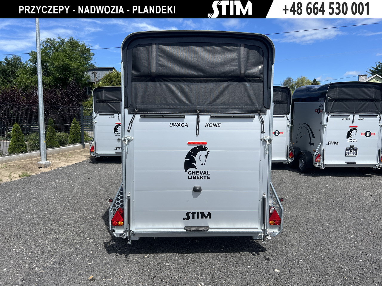 CHEVAL LIBERTÉ Touring Country - Rơ moóc chở ngựa: hình 3 CHEVAL LIBERTÉ Touring Country - Rơ moóc chở ngựa: hình 3