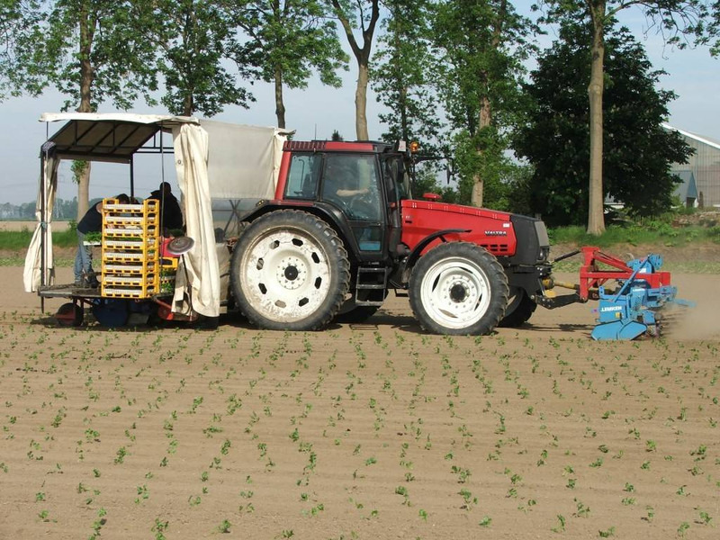 Valtra Valmet Zuidberg Fronthef - Máy cày: hình 4 Valtra Valmet Zuidberg Fronthef - Máy cày: hình 4