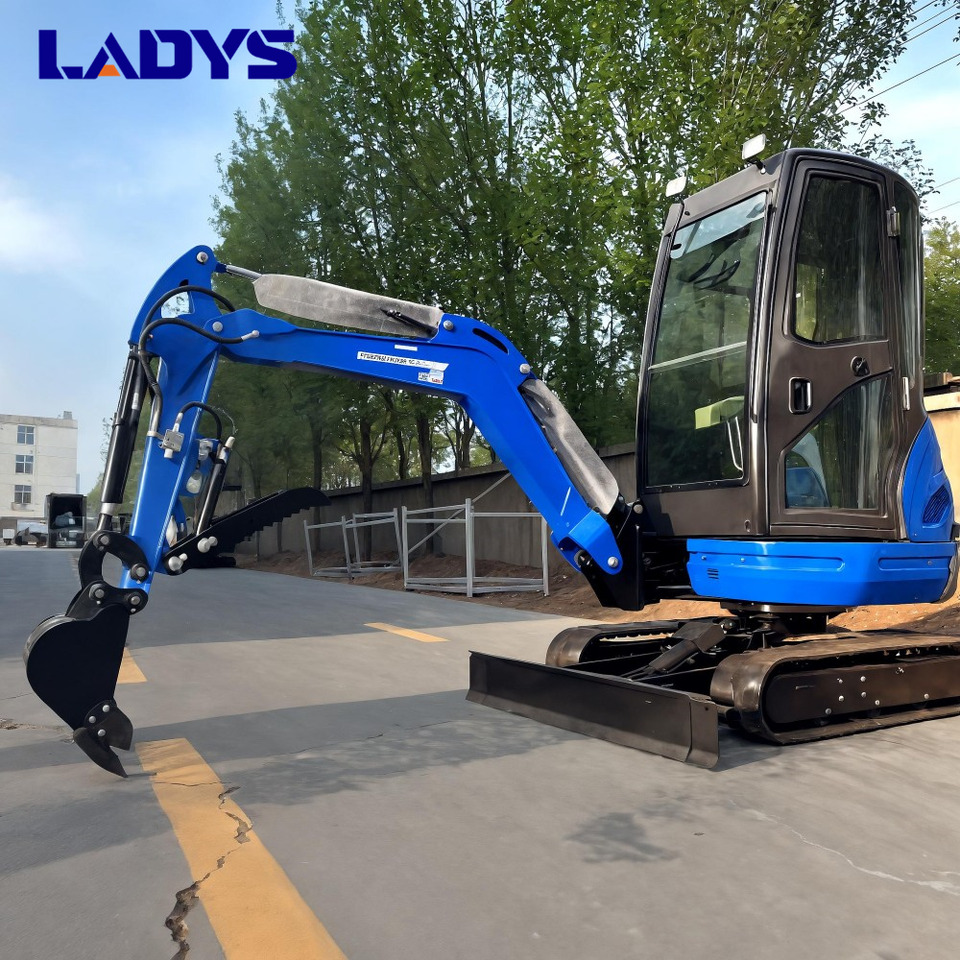 LADYS DY25U Mini Excavator Digger Miniexcavadora EPA Kubota Engine Mini Excavator For Sale With Mini Excavator Attachment Set - Máy xúc bánh xích: hình 4 LADYS DY25U Mini Excavator Digger Miniexcavadora EPA Kubota Engine Mini Excavator For Sale With Mini Excavator Attachment Set - Máy xúc bánh xích: hình 4