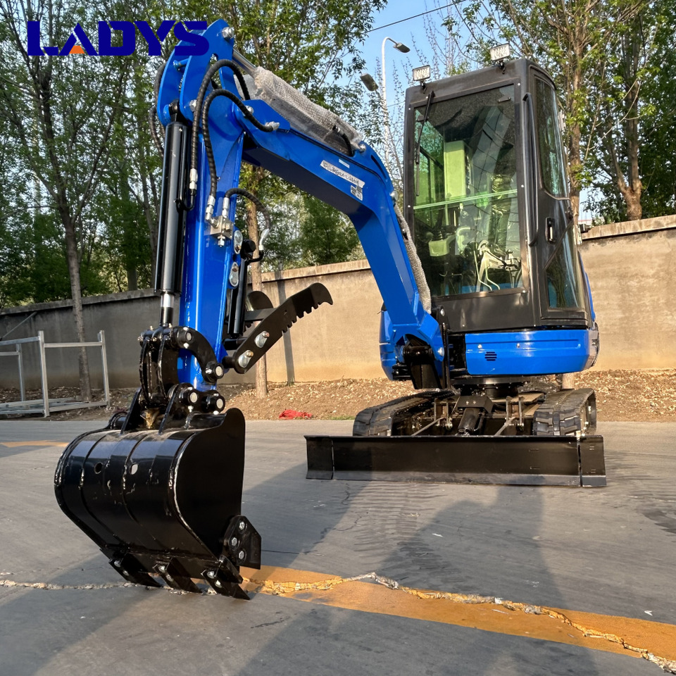 LADYS DY25U Mini Excavator Digger Miniexcavadora EPA Kubota Engine Mini Excavator For Sale With Mini Excavator Attachment Set - Máy xúc bánh xích: hình 3 LADYS DY25U Mini Excavator Digger Miniexcavadora EPA Kubota Engine Mini Excavator For Sale With Mini Excavator Attachment Set - Máy xúc bánh xích: hình 3