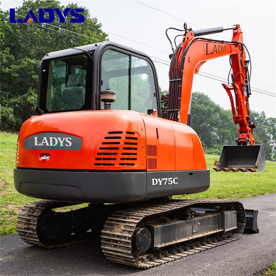 LADYS DY75C Small Excavator Euro 5/Epa Yanmar Engine Small Excavator Crawler Excavator For Sale - Máy xúc bánh xích: hình 3 LADYS DY75C Small Excavator Euro 5/Epa Yanmar Engine Small Excavator Crawler Excavator For Sale - Máy xúc bánh xích: hình 3