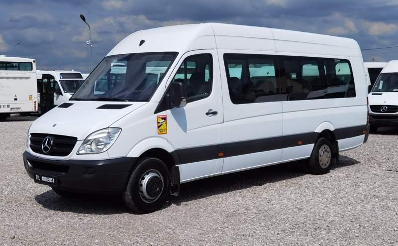 Xe bus mini, Xe van chở khách Mercedes-Benz Sprinter 2011 *Euro 5*: hình 17