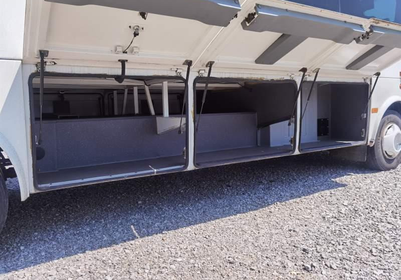 Otokar Navigo Mega 33 *EURO6* 3 SZTUKI IDENTYCZNE - Xe đò: hình 5 Otokar Navigo Mega 33 *EURO6* 3 SZTUKI IDENTYCZNE - Xe đò: hình 5