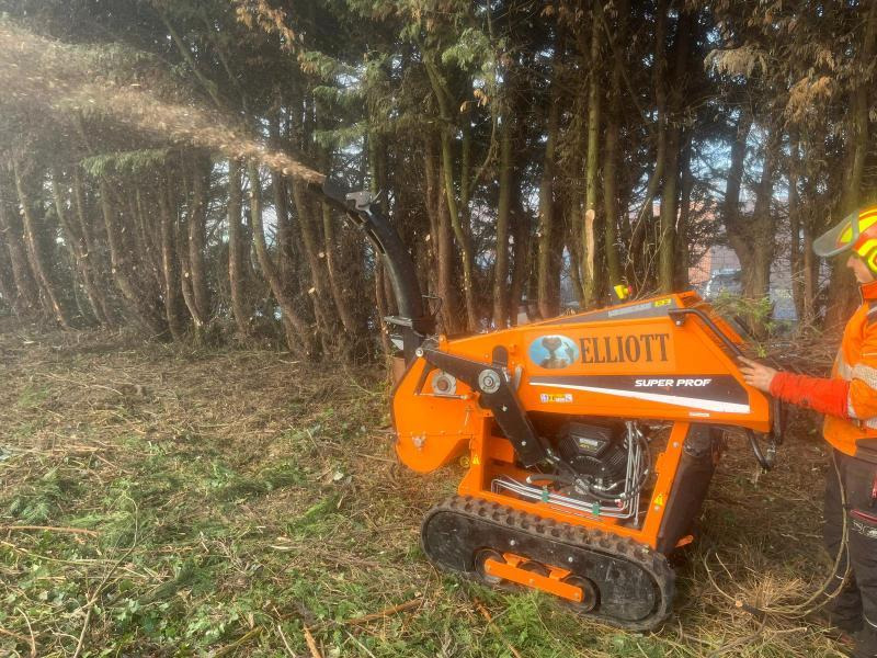 ELIET SUPERPROF - Máy đốn cây: hình 4 ELIET SUPERPROF - Máy đốn cây: hình 4