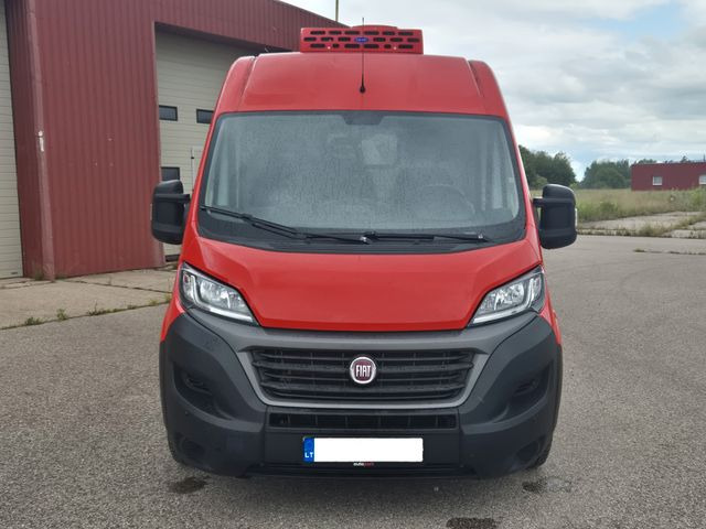 Fiat Ducato Refrigerated Van - Xe van đông lạnh: hình 2 Fiat Ducato Refrigerated Van - Xe van đông lạnh: hình 2