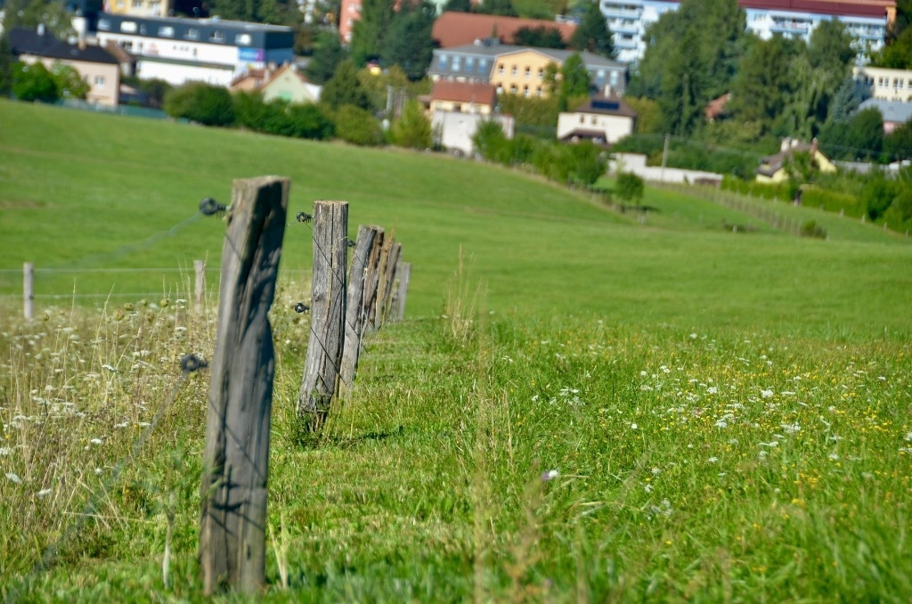 Tricut A1250 Präzisions - Zaunmäher Kreismäher für - Máy cắt cỏ: hình 3 Tricut A1250 Präzisions - Zaunmäher Kreismäher für - Máy cắt cỏ: hình 3