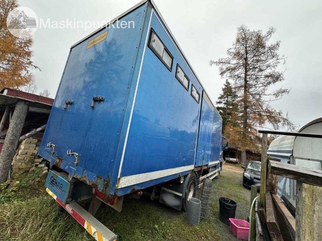 Volvo FH 12 - Xe tải chở gia súc: hình 4 Volvo FH 12 - Xe tải chở gia súc: hình 4