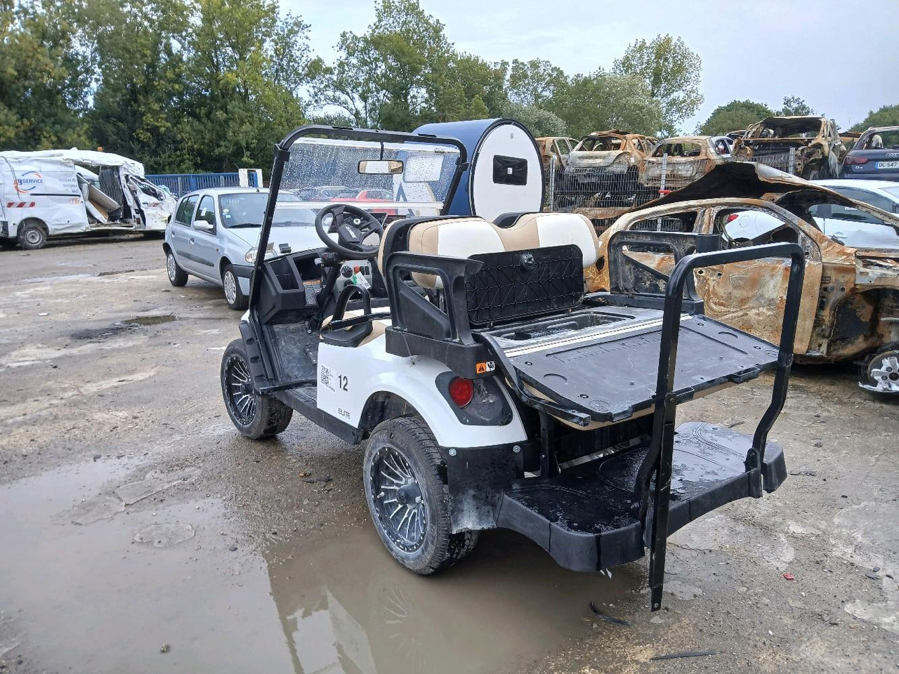 ATV/ Xe 4 bánh (NA) EZGO ELITE: hình 7