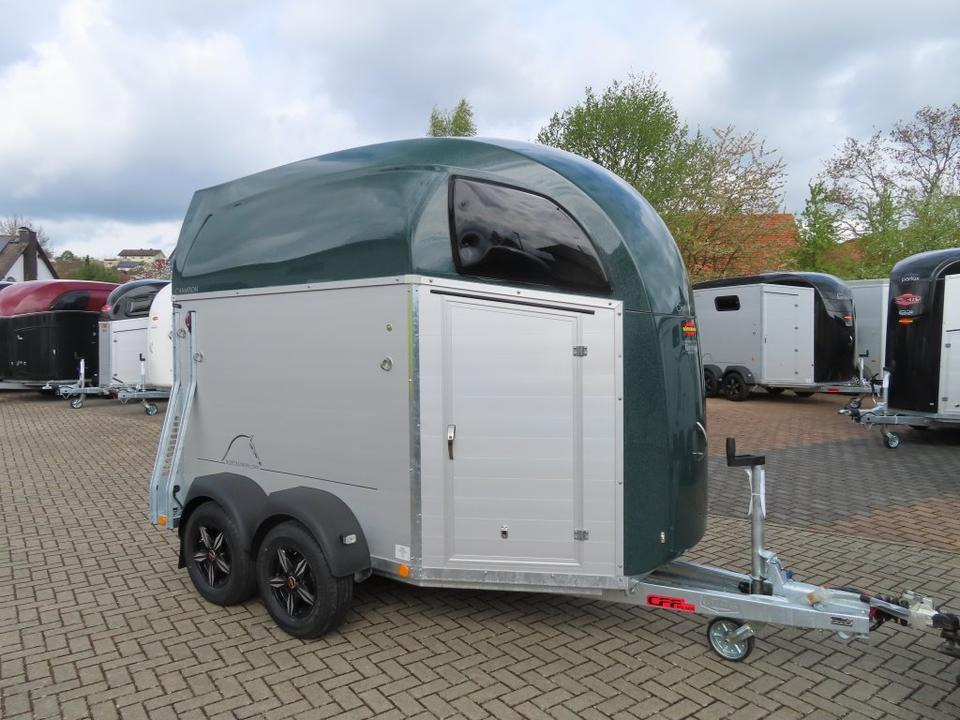 Böckmann Pferdeanhänger Champion R Flügeltür Saka. 100km/h - Rơ moóc chở ngựa: hình 3 Böckmann Pferdeanhänger Champion R Flügeltür Saka. 100km/h - Rơ moóc chở ngựa: hình 3