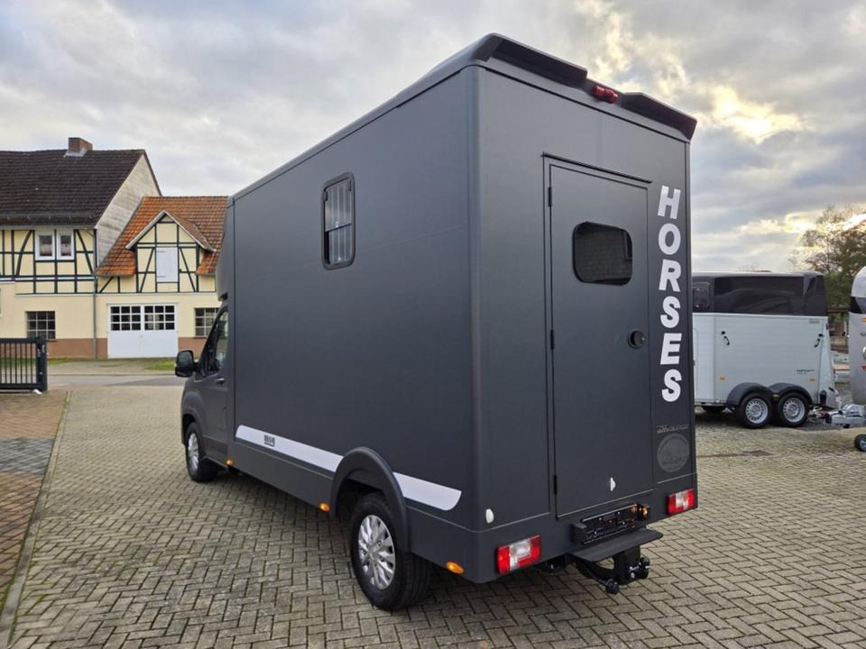 MSG Stablehopper Pferdetransporter Pferdeanhänger Böckmann - Xe tải chở ngựa: hình 4 MSG Stablehopper Pferdetransporter Pferdeanhänger Böckmann - Xe tải chở ngựa: hình 4