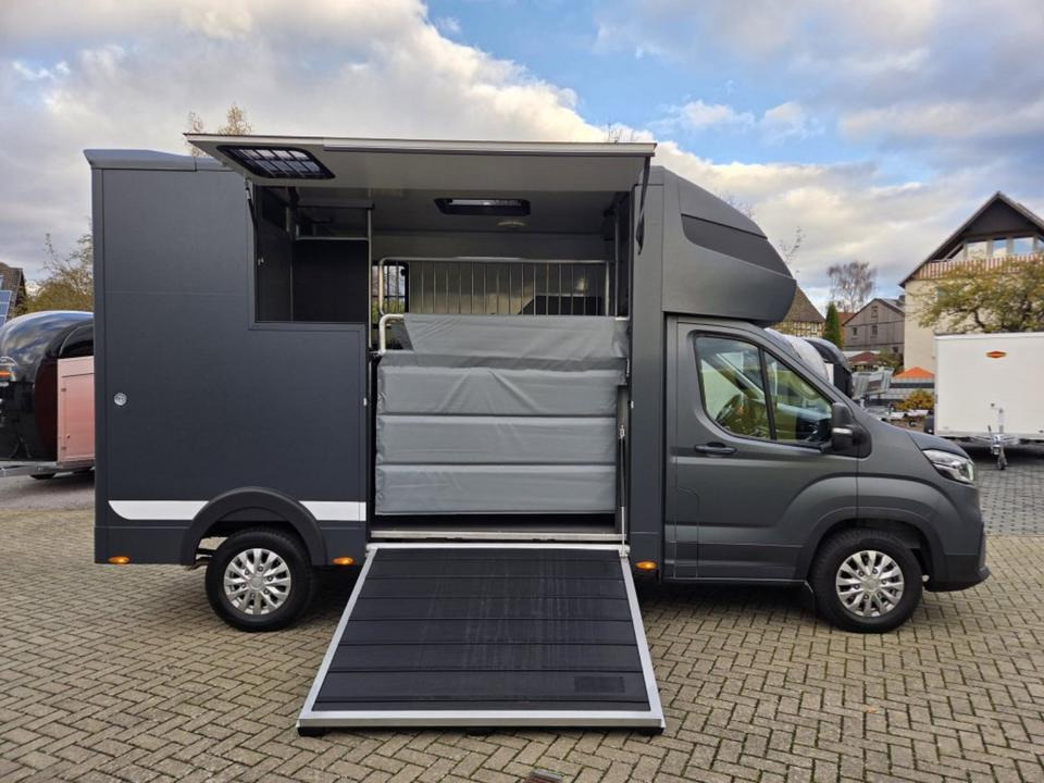 MSG Stablehopper Pferdetransporter Pferdeanhänger Böckmann - Xe tải chở ngựa: hình 5 MSG Stablehopper Pferdetransporter Pferdeanhänger Böckmann - Xe tải chở ngựa: hình 5