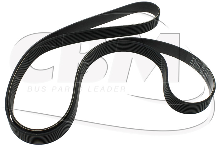 IVECO BELT - VOLVO MERCEDES IRIZAR (3987498 | A6061800009 | 592295) - Dây curoa cho Xe bus: hình 1 IVECO BELT - VOLVO MERCEDES IRIZAR (3987498 | A6061800009 | 592295) - Dây curoa cho Xe bus: hình 1