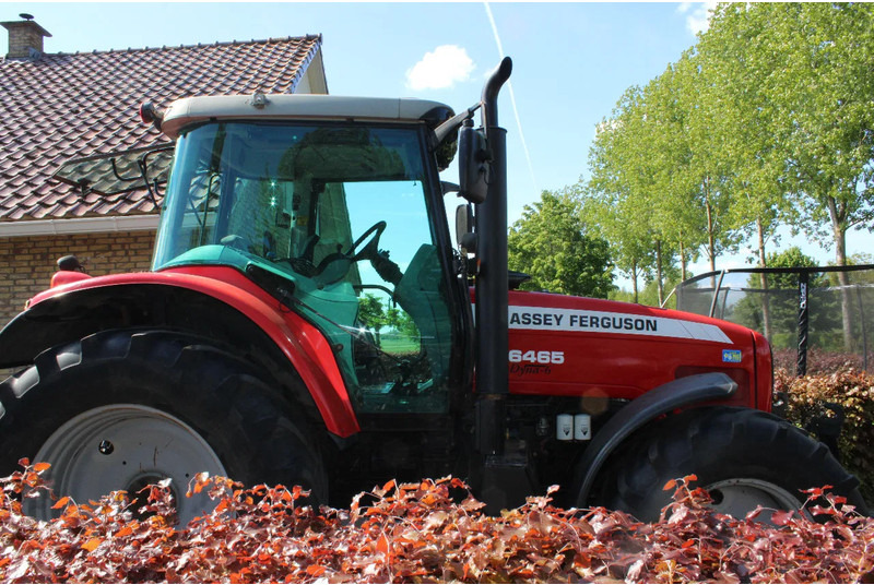 Massey Ferguson 6465 dyna 6 - Máy cày: hình 2 Massey Ferguson 6465 dyna 6 - Máy cày: hình 2
