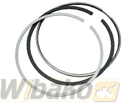 Wbk 7380739/4980483/7380741 - Pít tông/ Vòng/ Ống lót cho Máy móc xây dựng: hình 1 Wbk 7380739/4980483/7380741 - Pít tông/ Vòng/ Ống lót cho Máy móc xây dựng: hình 1