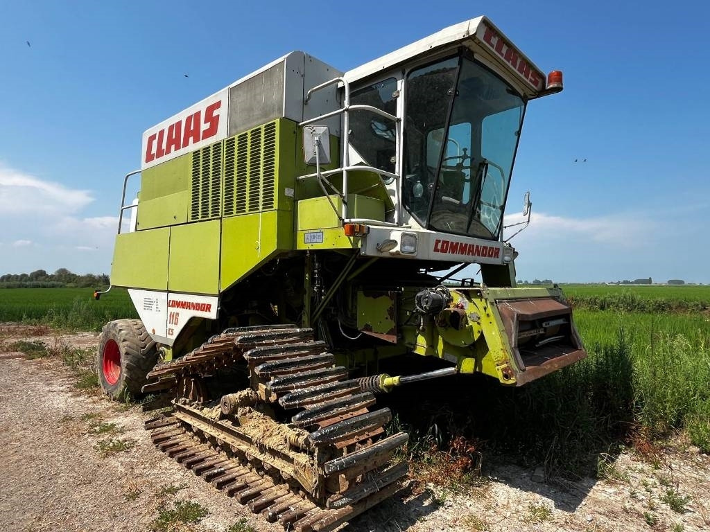 Claas COMMANDOR 116 CS RISO - Máy gặt đập: hình 1 Claas COMMANDOR 116 CS RISO - Máy gặt đập: hình 1