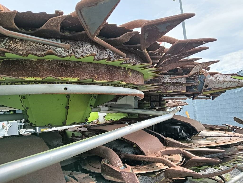 Máy gặt ngô Claas Orbis 900 AC: hình 8