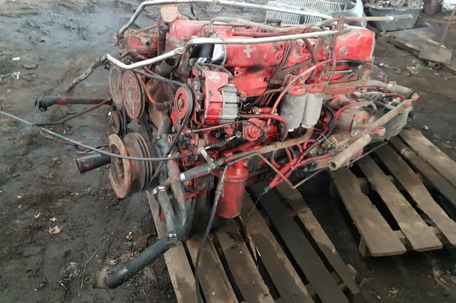 MAN D0226 MKF/170 Van Hool T8-Series - Động cơ cho Xe tải: hình 1 MAN D0226 MKF/170 Van Hool T8-Series - Động cơ cho Xe tải: hình 1