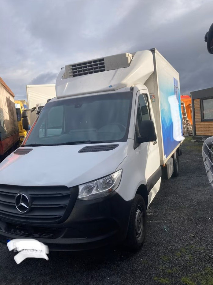Xe van đông lạnh để vận chuyển thức ăn Mercedes-Benz Sprinter AWD 316: hình 11