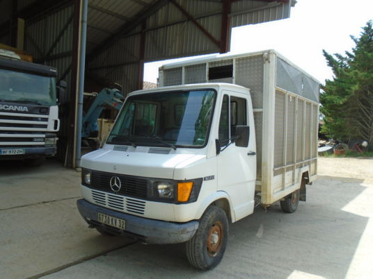 Mercedes 307D - Xe tải chở gia súc: hình 3 Mercedes 307D - Xe tải chở gia súc: hình 3