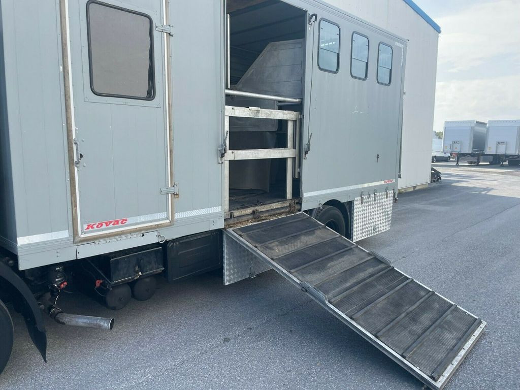 Cho thuê MAN 12.192 Pferdetransporter MAN 12.192 Pferdetransporter MAN 12.192 Pferdetransporter MAN 12.192 Pferdetransporter: hình 13