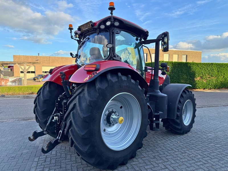 Case IH Puma 240 CVXDrive - Máy cày: hình 3 Case IH Puma 240 CVXDrive - Máy cày: hình 3