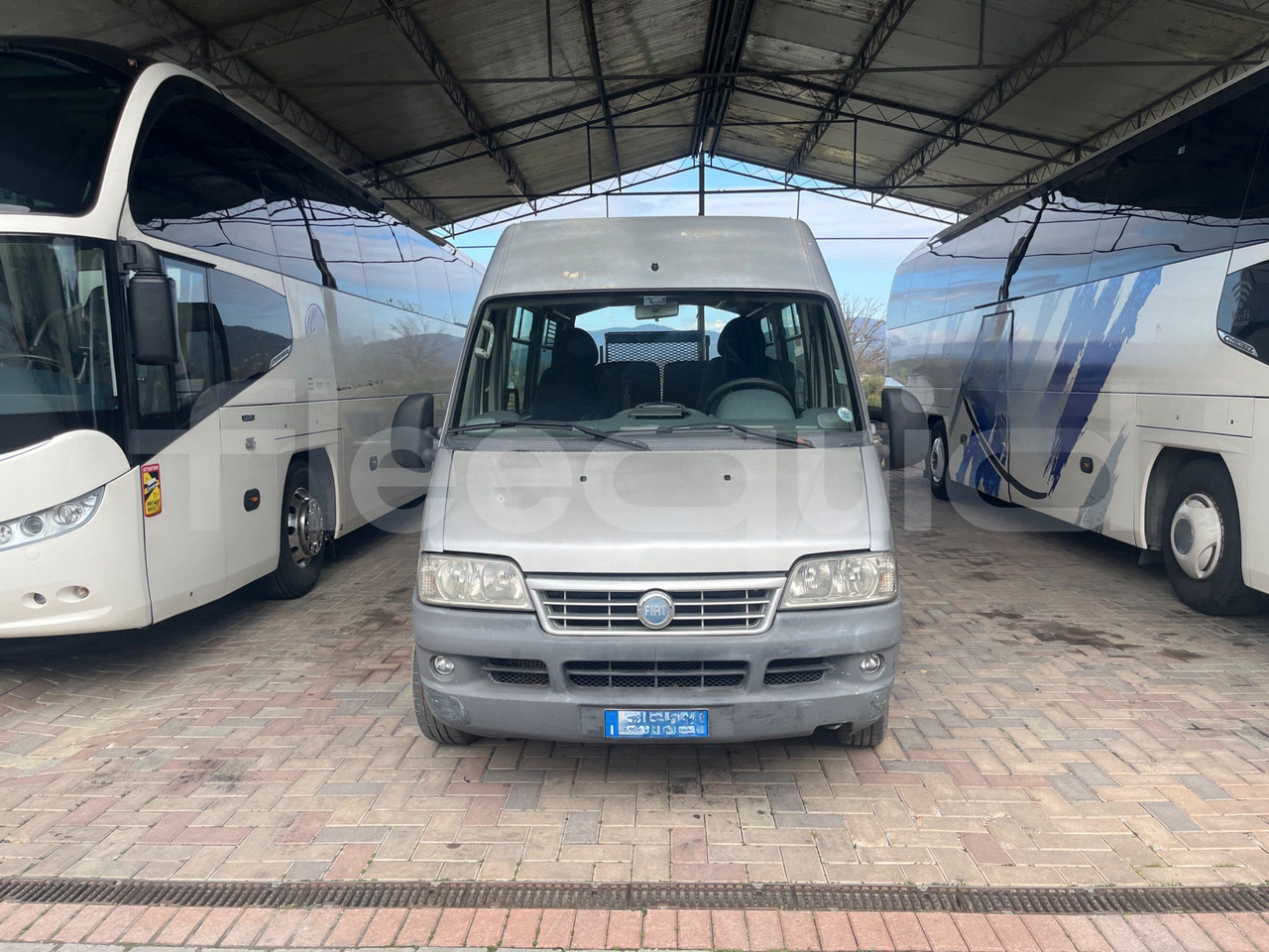 Fiat Ducato Maxi - Xe đò: hình 2 Fiat Ducato Maxi - Xe đò: hình 2
