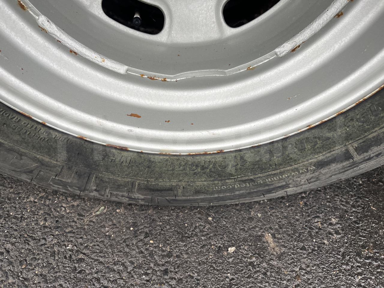 Cho thuê  Iveco Cacciamali Iveco Cacciamali: hình 9