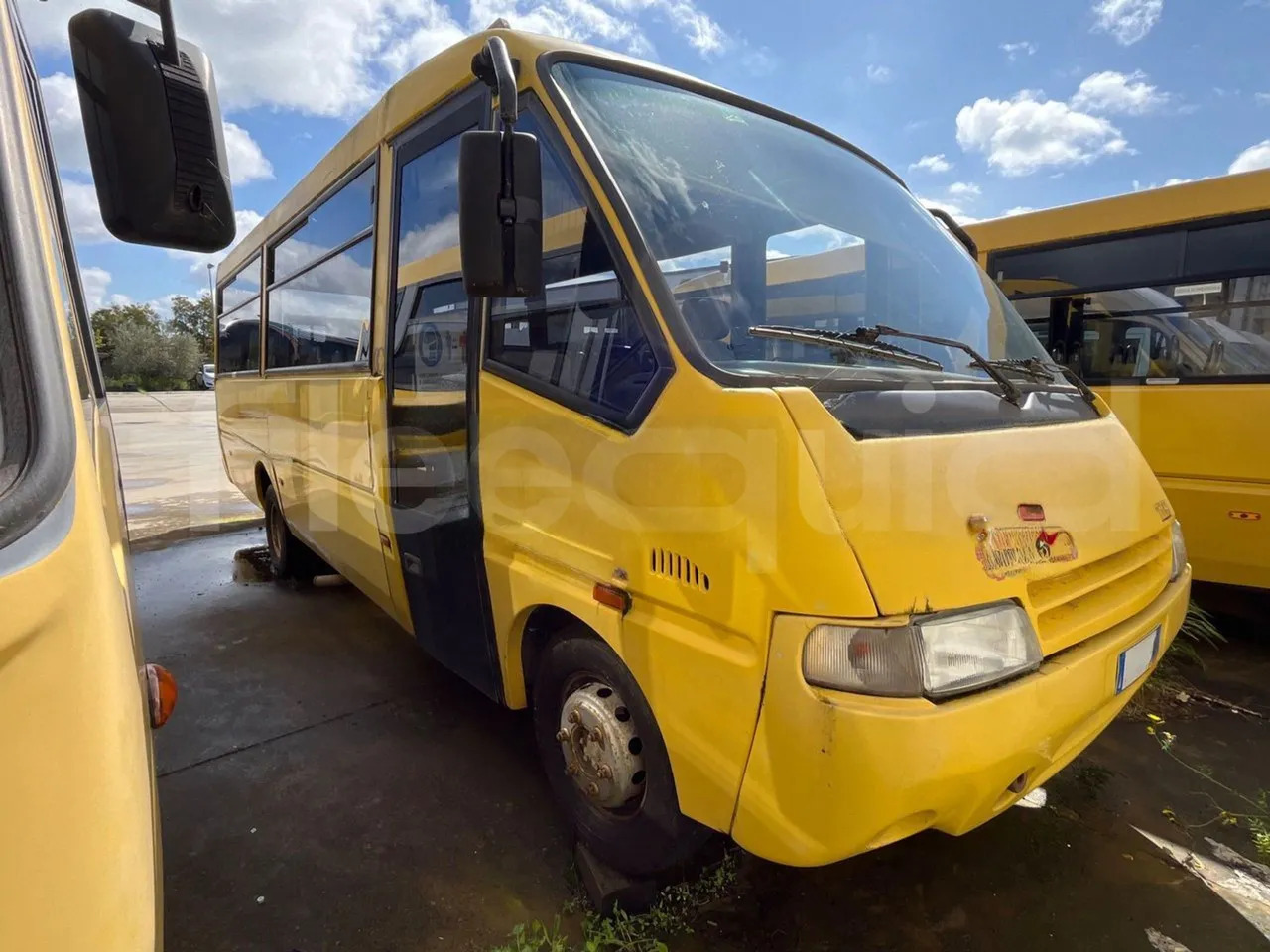 Iveco Cacciamali - Xe buýt trường học: hình 2 Iveco Cacciamali - Xe buýt trường học: hình 2