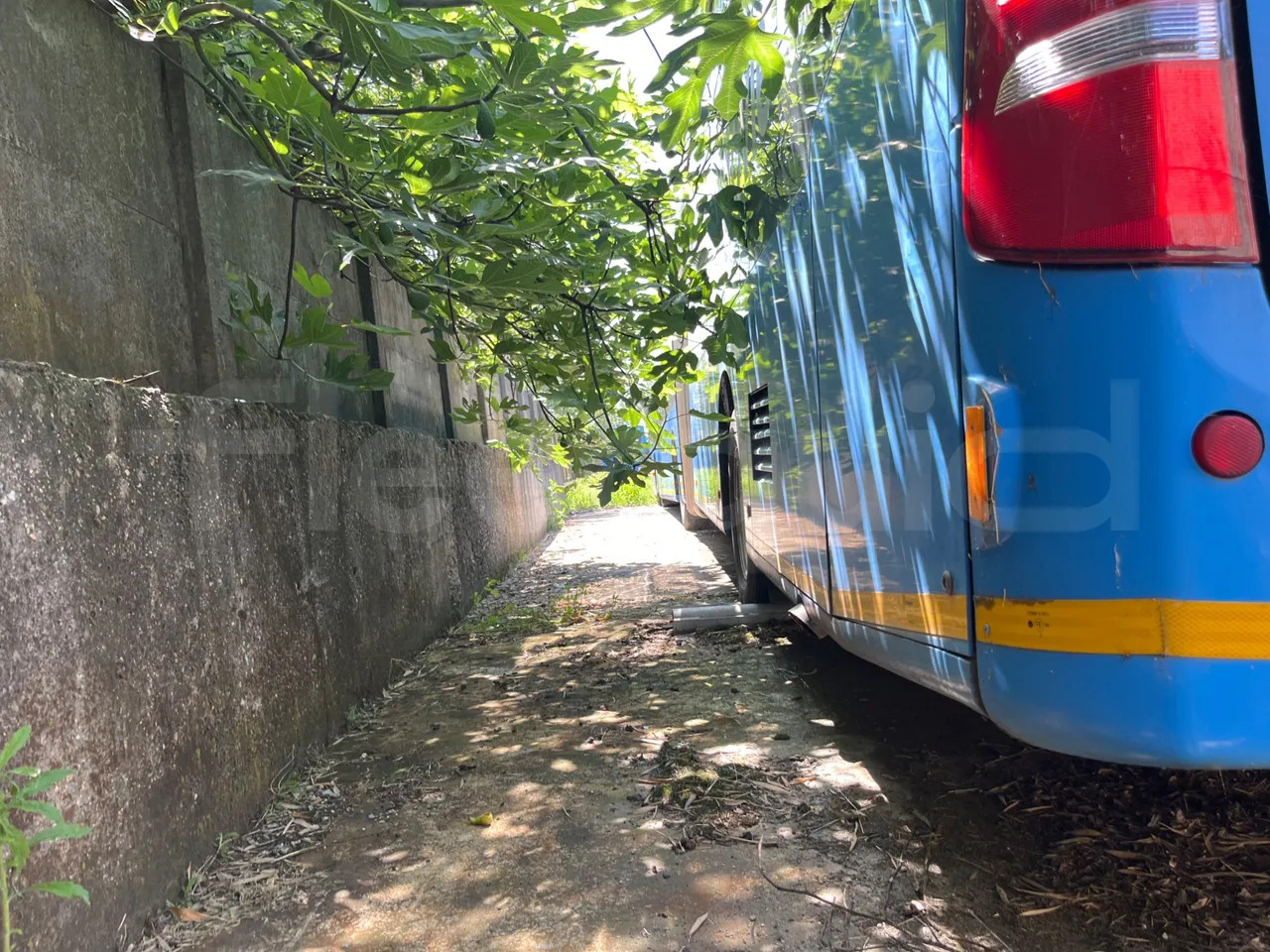 Mercedes-Benz Citaro G - Xe bus đô thị: hình 4 Mercedes-Benz Citaro G - Xe bus đô thị: hình 4