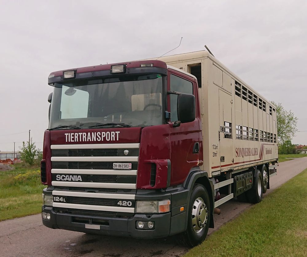 Scania 124 420 Do żywca - Xe tải chở gia súc: hình 4 Scania 124 420 Do żywca - Xe tải chở gia súc: hình 4