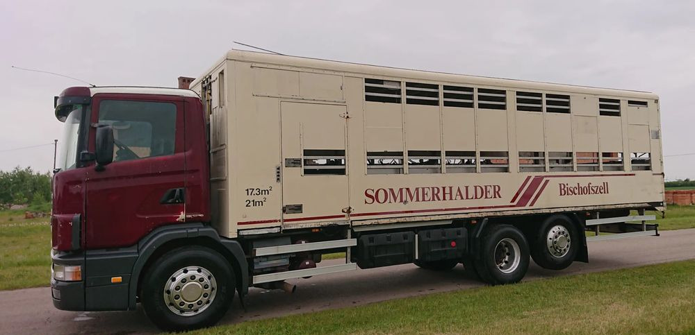 Scania 124 420 Do żywca - Xe tải chở gia súc: hình 5 Scania 124 420 Do żywca - Xe tải chở gia súc: hình 5