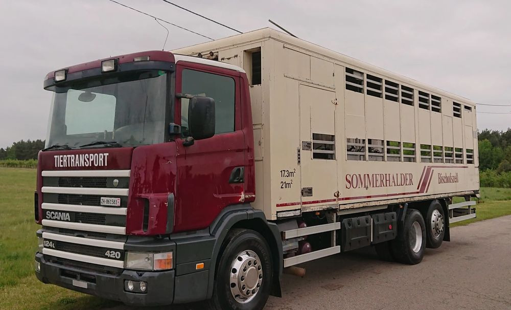 Scania 124 420 Do żywca - Xe tải chở gia súc: hình 1 Scania 124 420 Do żywca - Xe tải chở gia súc: hình 1