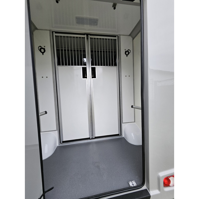 Opel Movano AKX by Stephex - Xe tải chở ngựa: hình 4 Opel Movano AKX by Stephex - Xe tải chở ngựa: hình 4