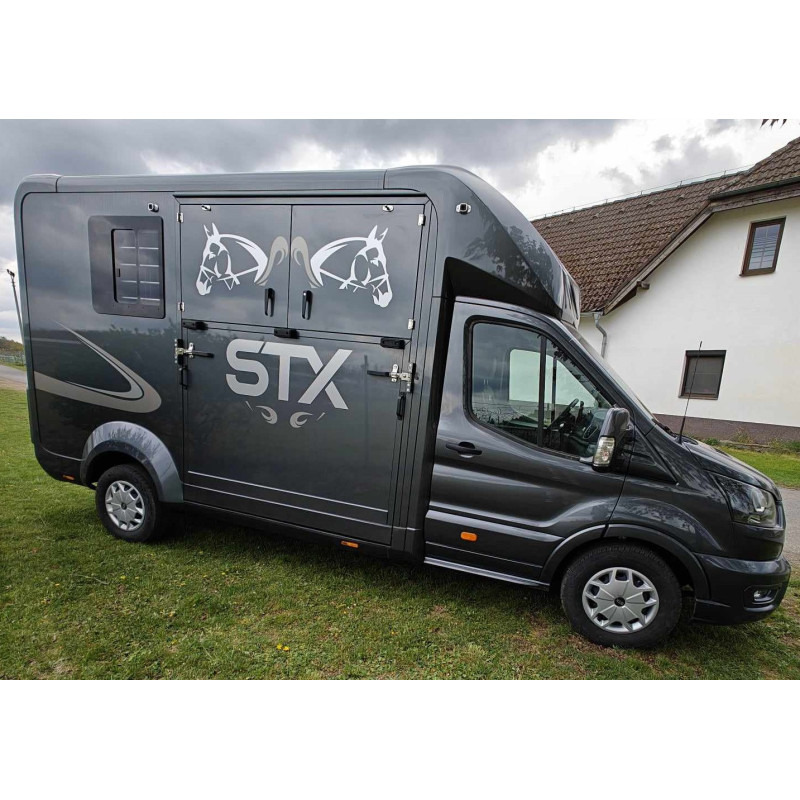 STX Ford Transit by Stephex - Xe tải chở ngựa: hình 3 STX Ford Transit by Stephex - Xe tải chở ngựa: hình 3